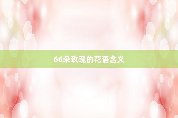66朵玫瑰的花语含义
