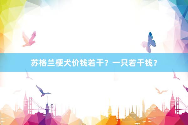 苏格兰梗犬价钱若干？一只若干钱？
