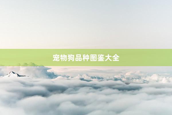宠物狗品种图鉴大全