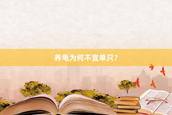 养龟为何不宜单只？