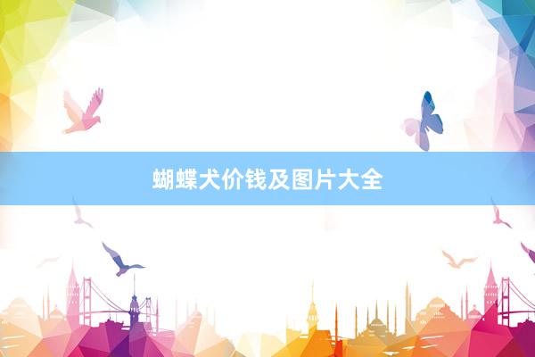 蝴蝶犬价钱及图片大全