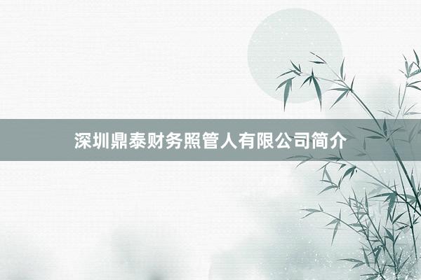 深圳鼎泰财务照管人有限公司简介